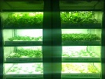 1591434057193925.jpg 未标题-2.jpg